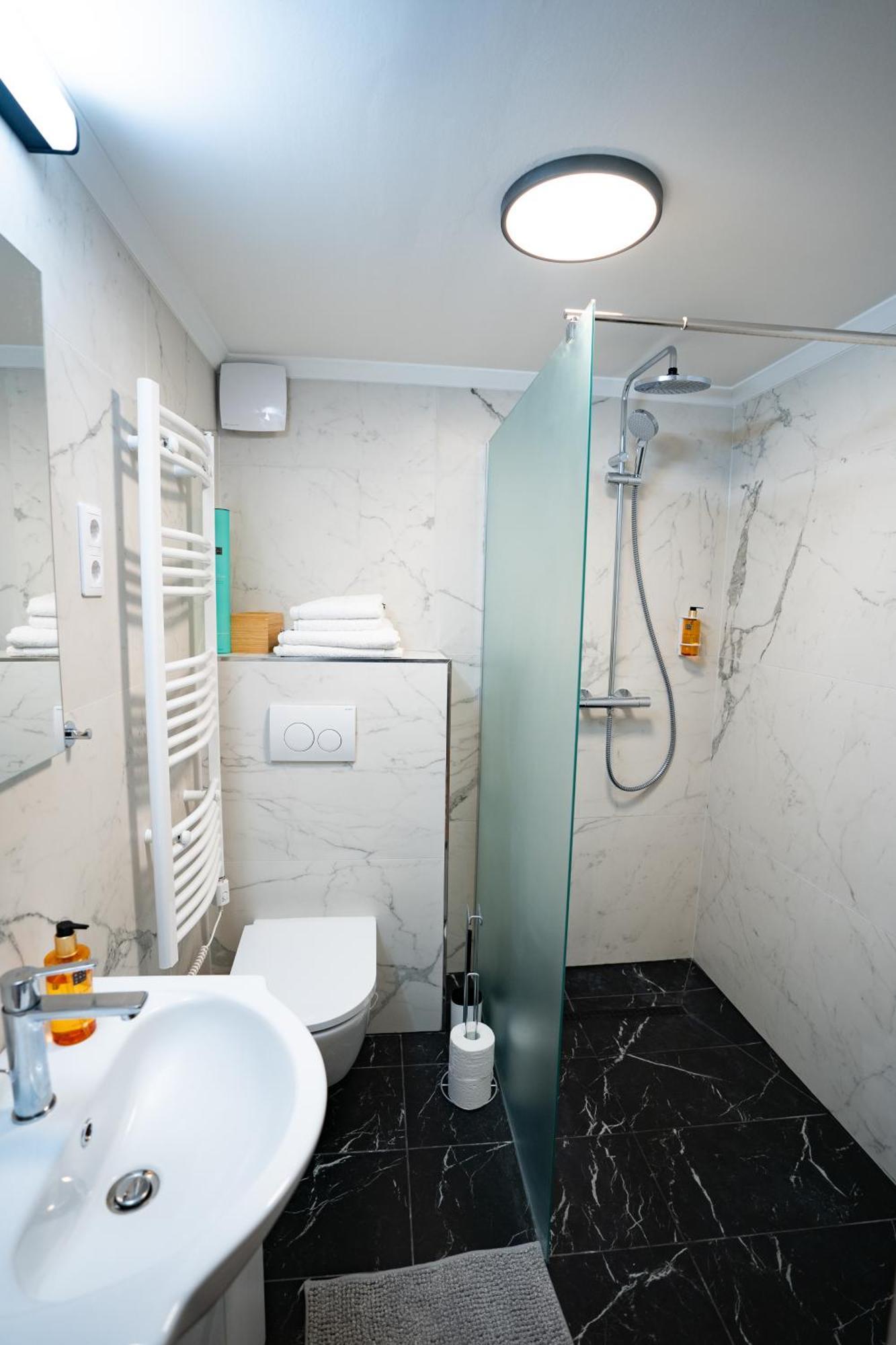 Downtown Double Deluxe With Joint Kitchen Apartment *