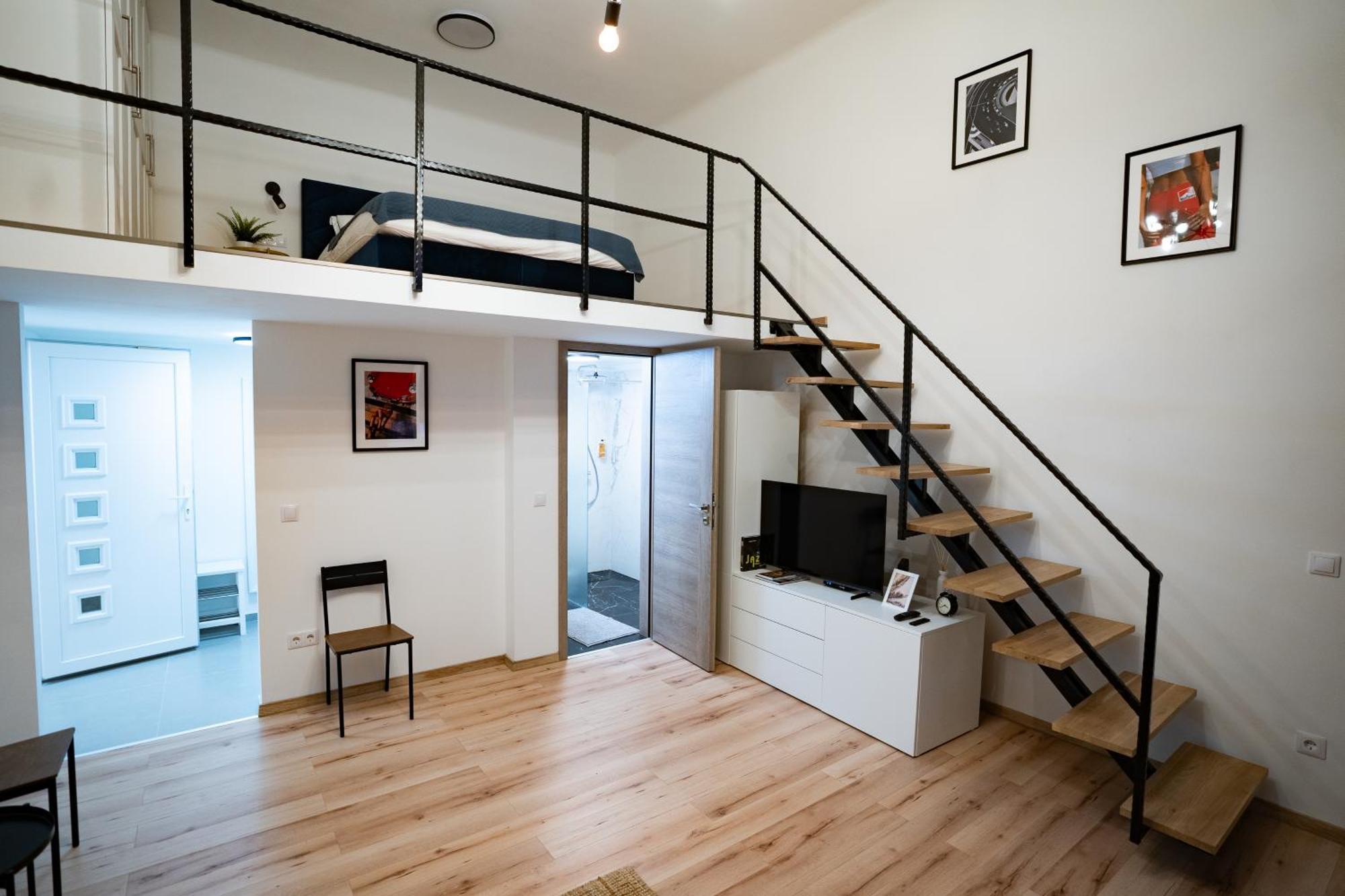 Downtown Double Deluxe With Joint Kitchen Apartment