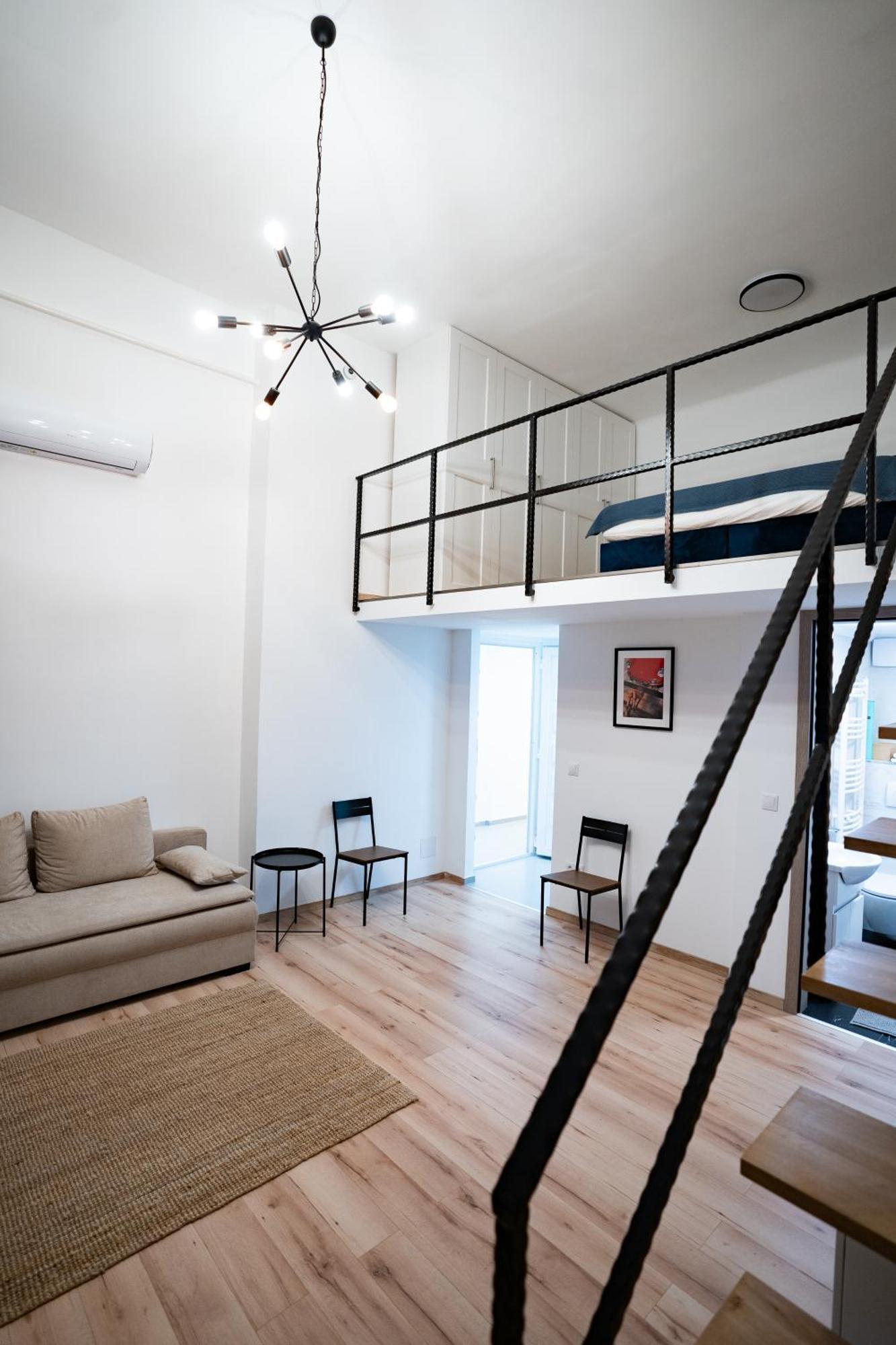 Downtown Double Deluxe With Joint Kitchen Apartment *